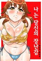 나는 당신의 장난감