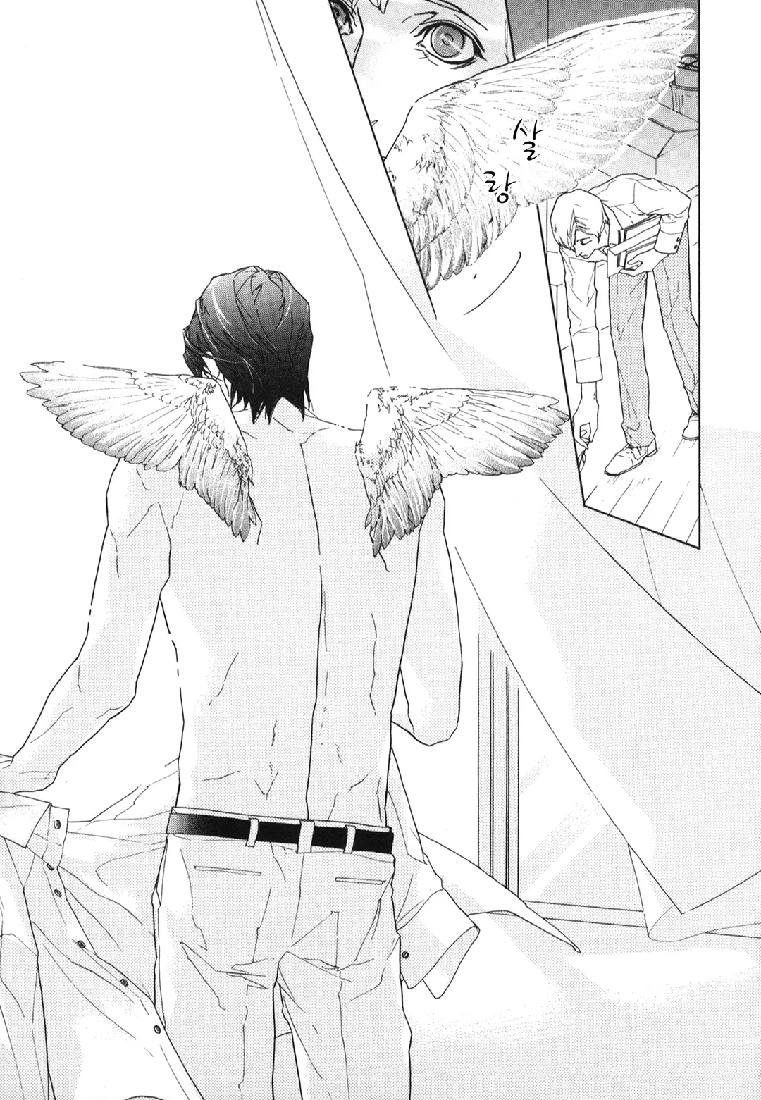 코지카 군과 비둘기 교수님