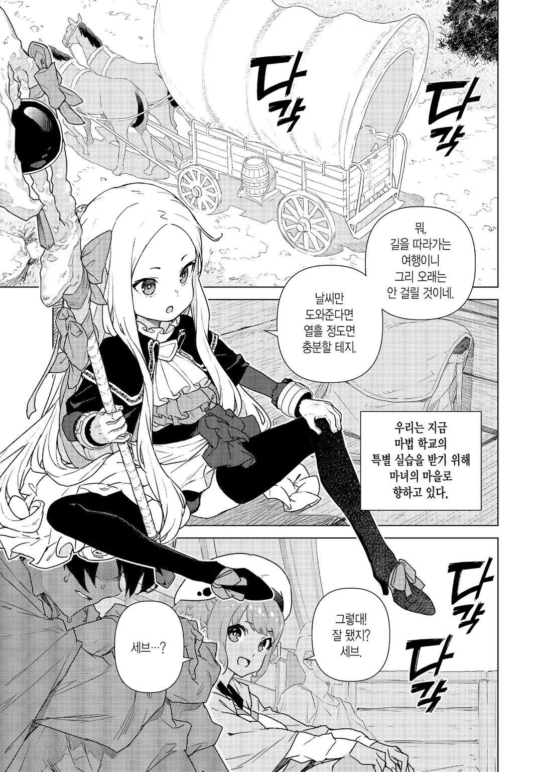 마법사의 여명기