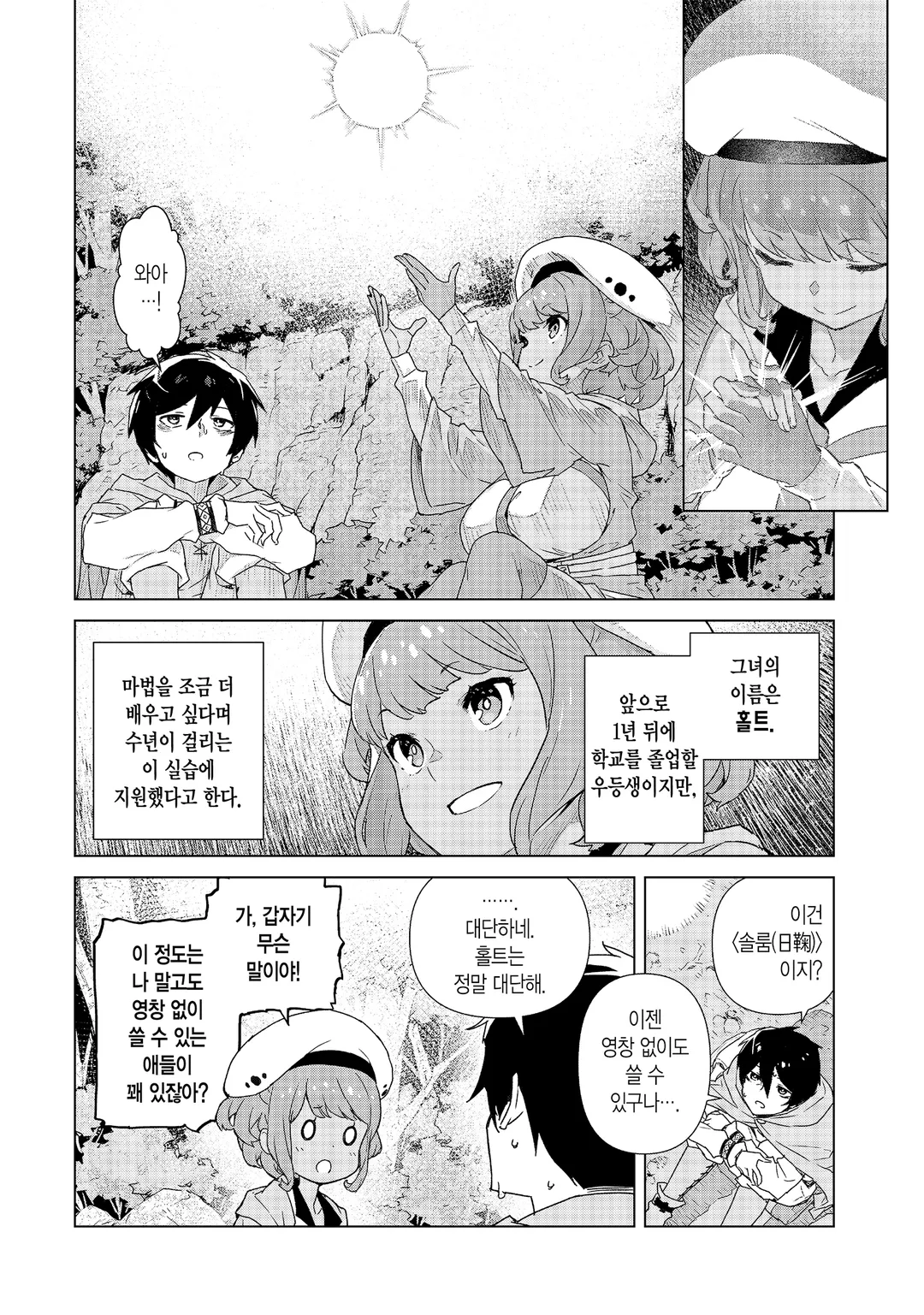 마법사의 여명기