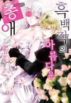 흑백작의 아름다운 총애