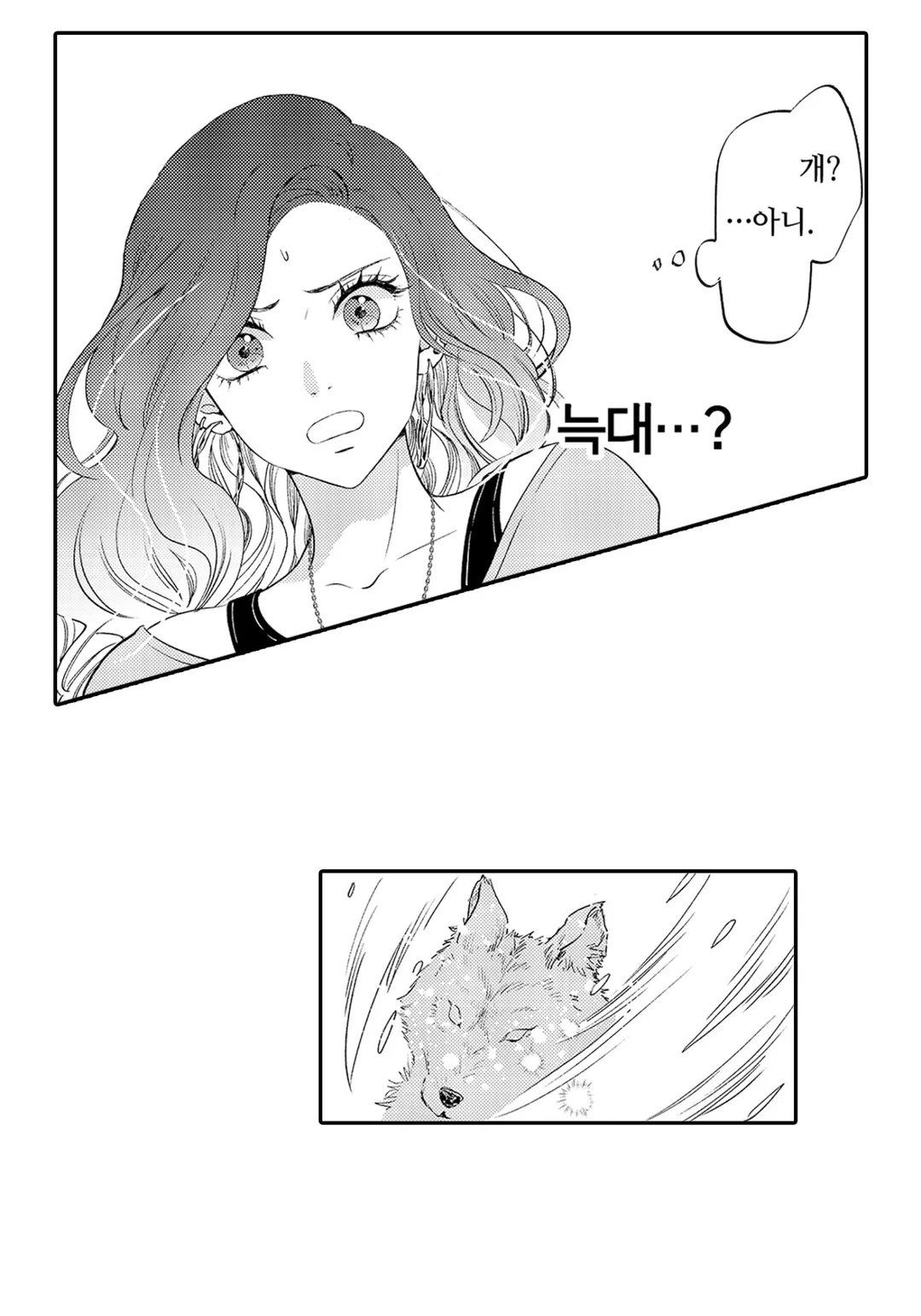 신 스펙 신 달링