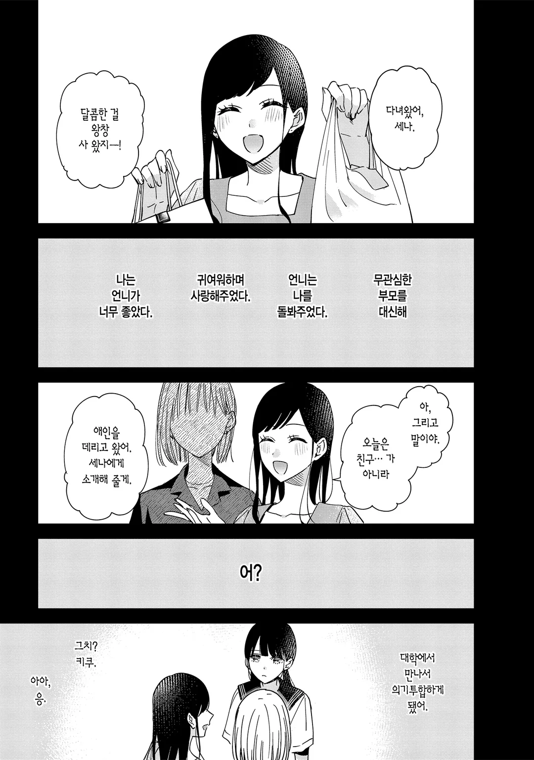 언니의 친구, 나의 애인.