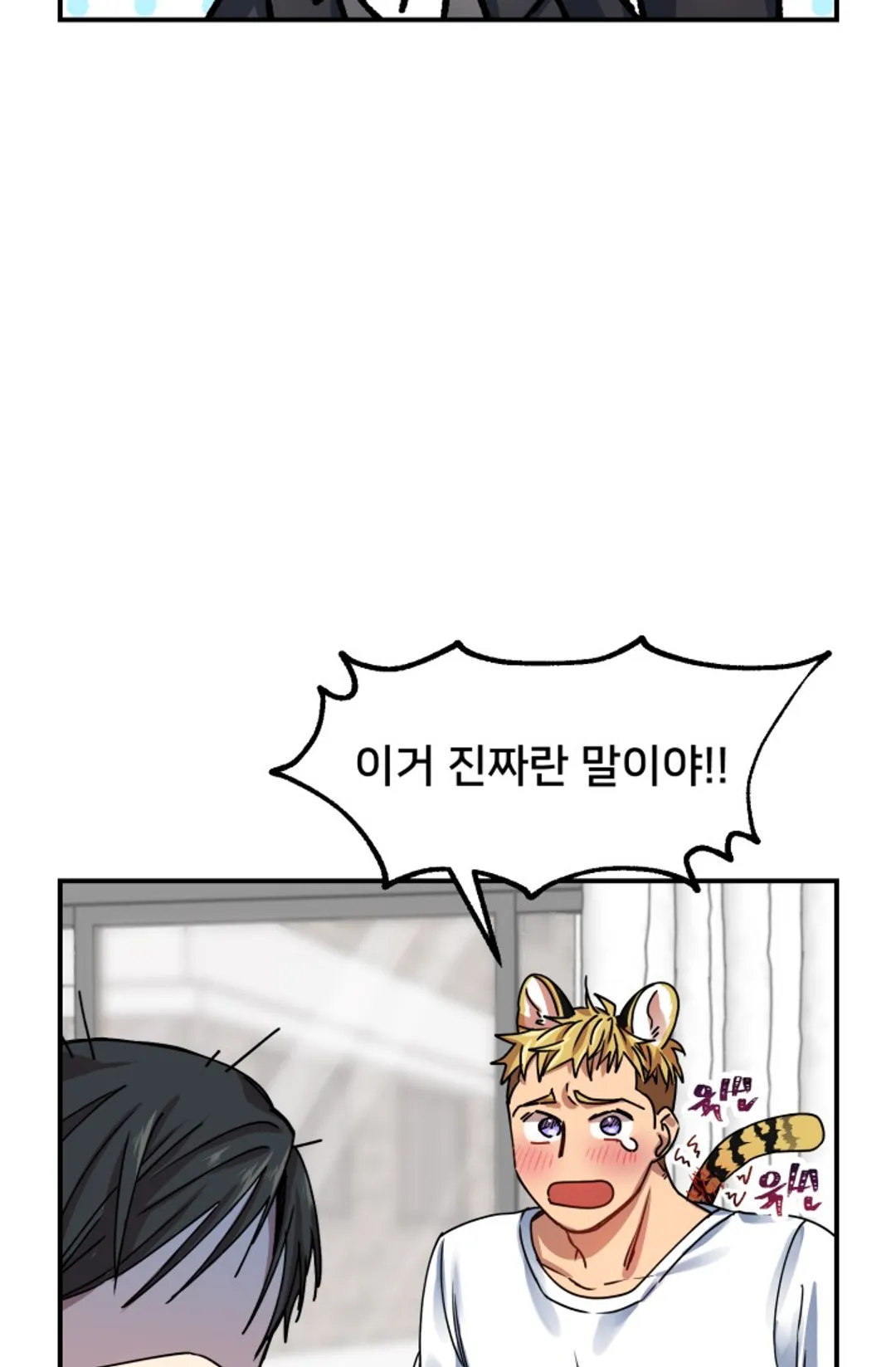 호랑이 장가드는 날