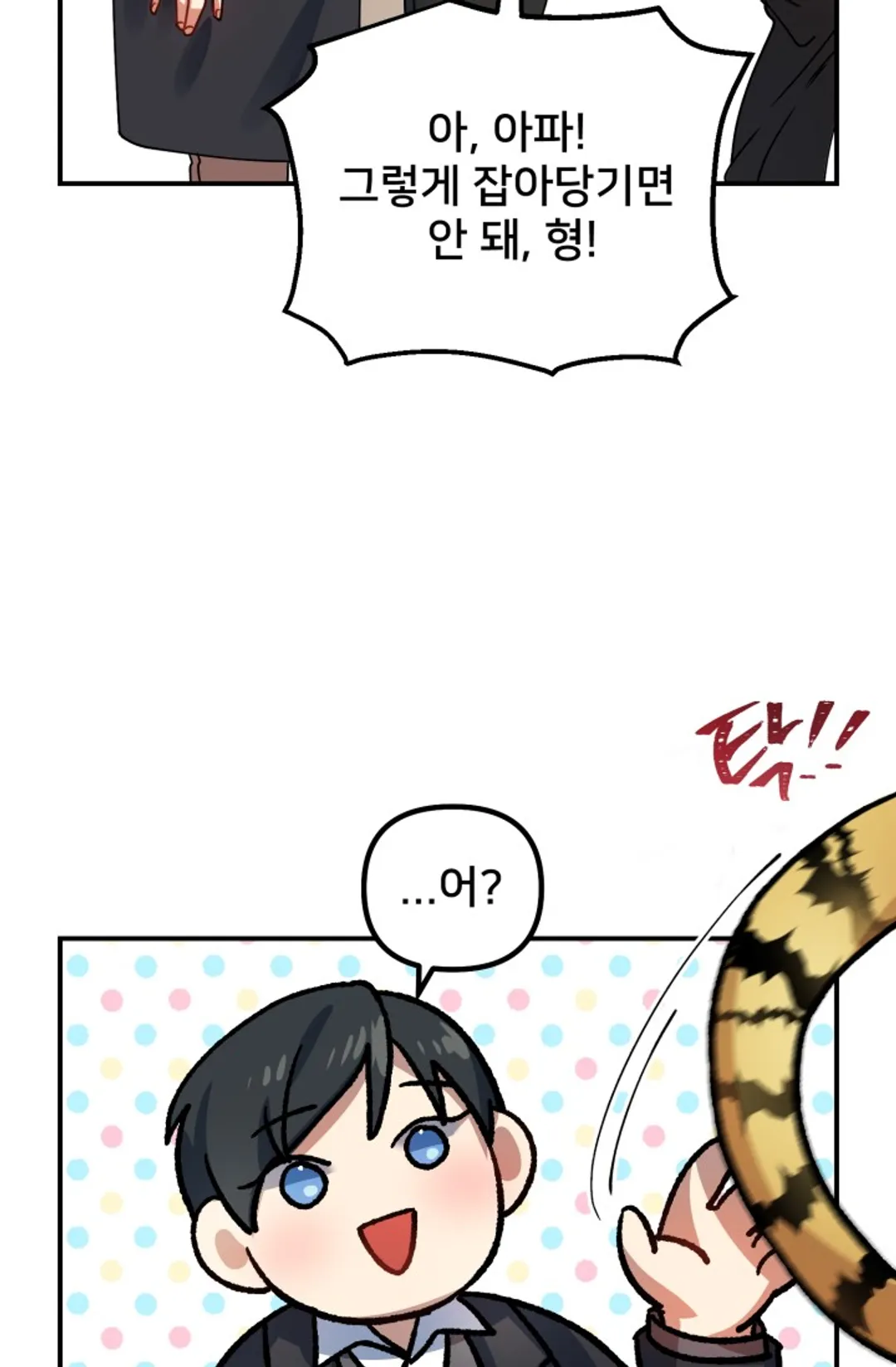 호랑이 장가드는 날