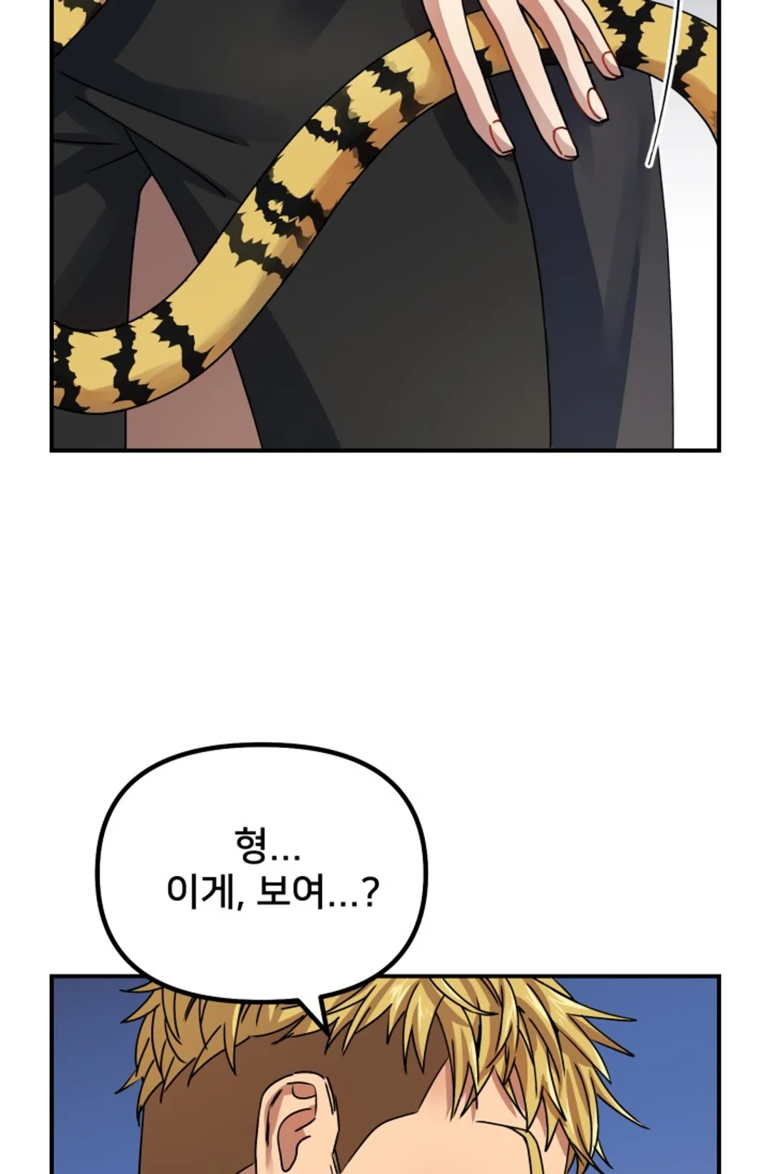 호랑이 장가드는 날