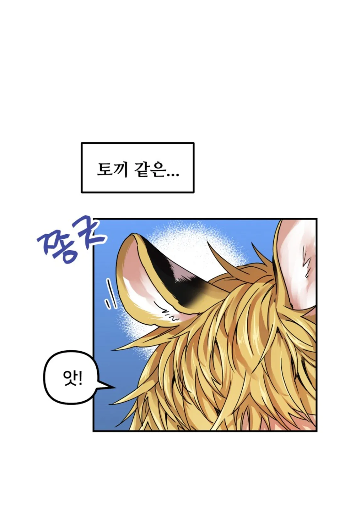 호랑이 장가드는 날