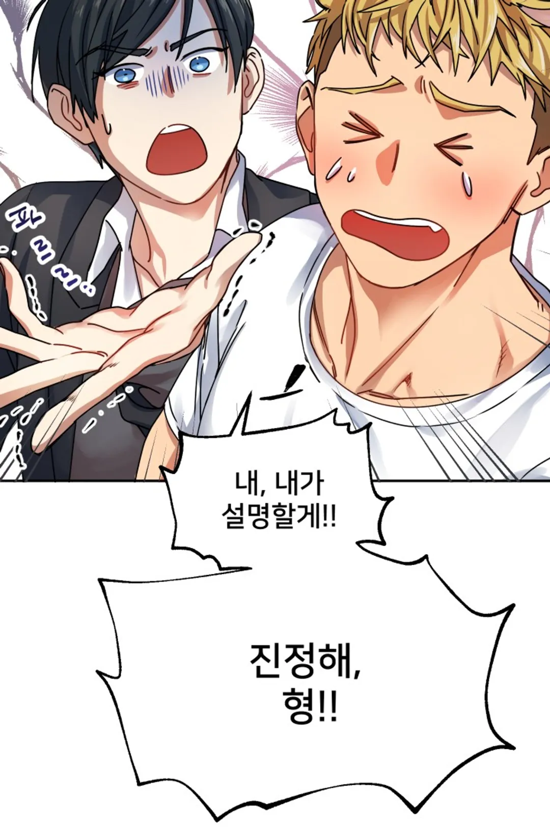 호랑이 장가드는 날