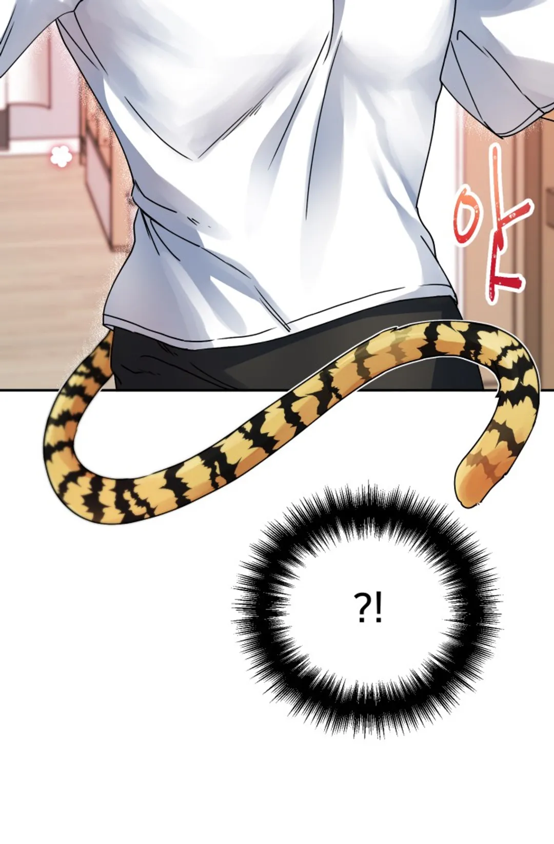 호랑이 장가드는 날