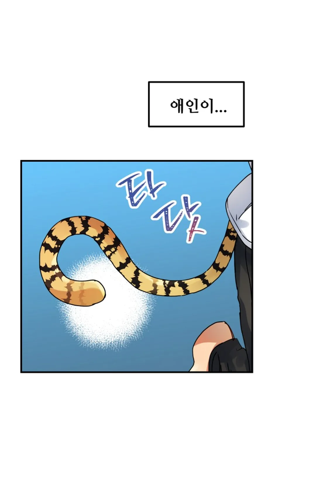 호랑이 장가드는 날