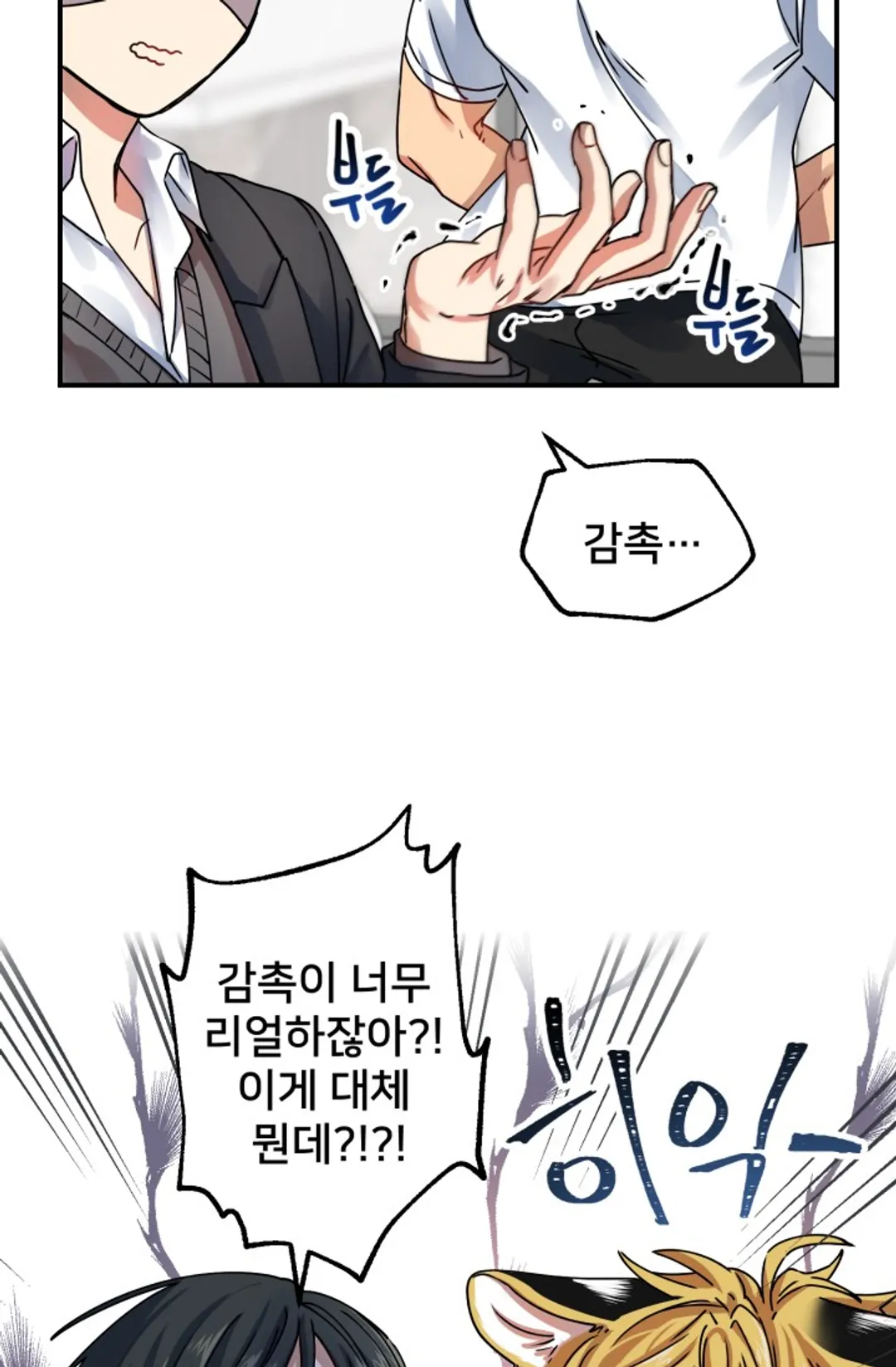 호랑이 장가드는 날