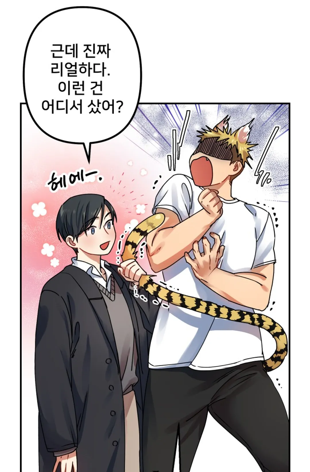 호랑이 장가드는 날