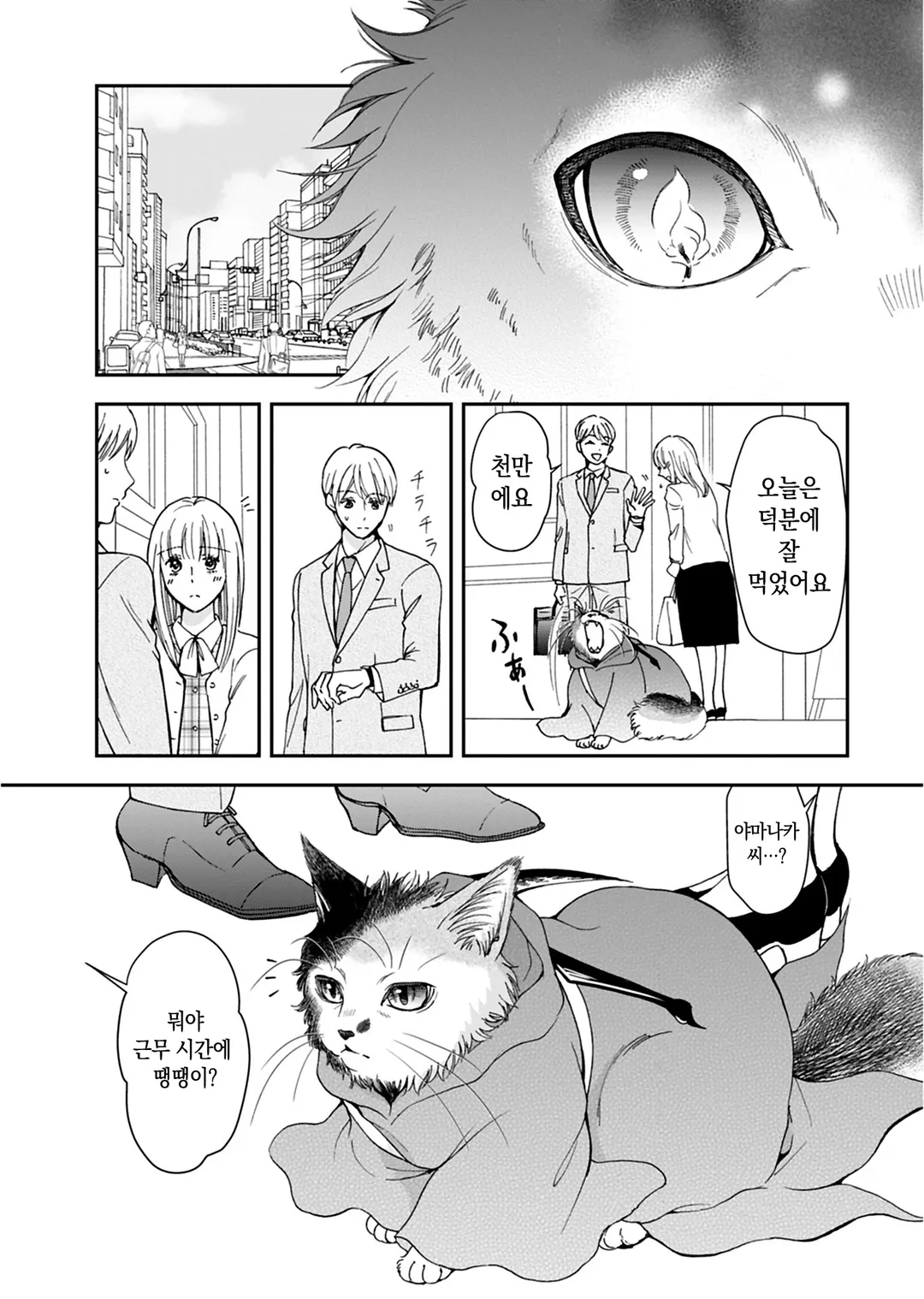 사신 고양이 지즈는 정이 깊다