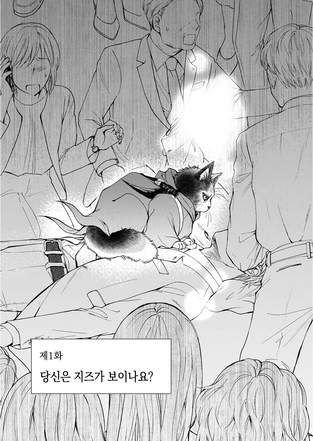 사신 고양이 지즈는 정이 깊다