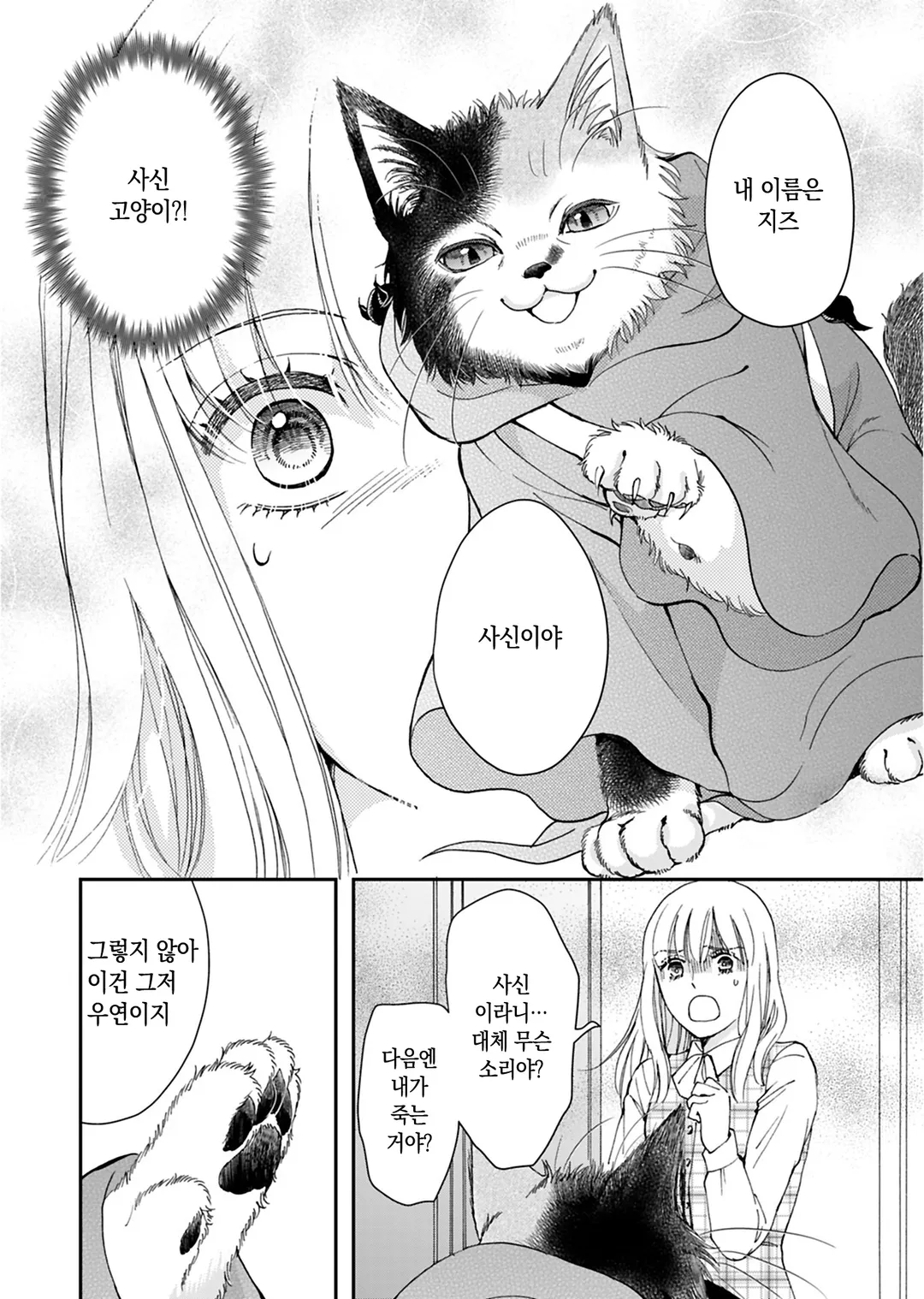 사신 고양이 지즈는 정이 깊다