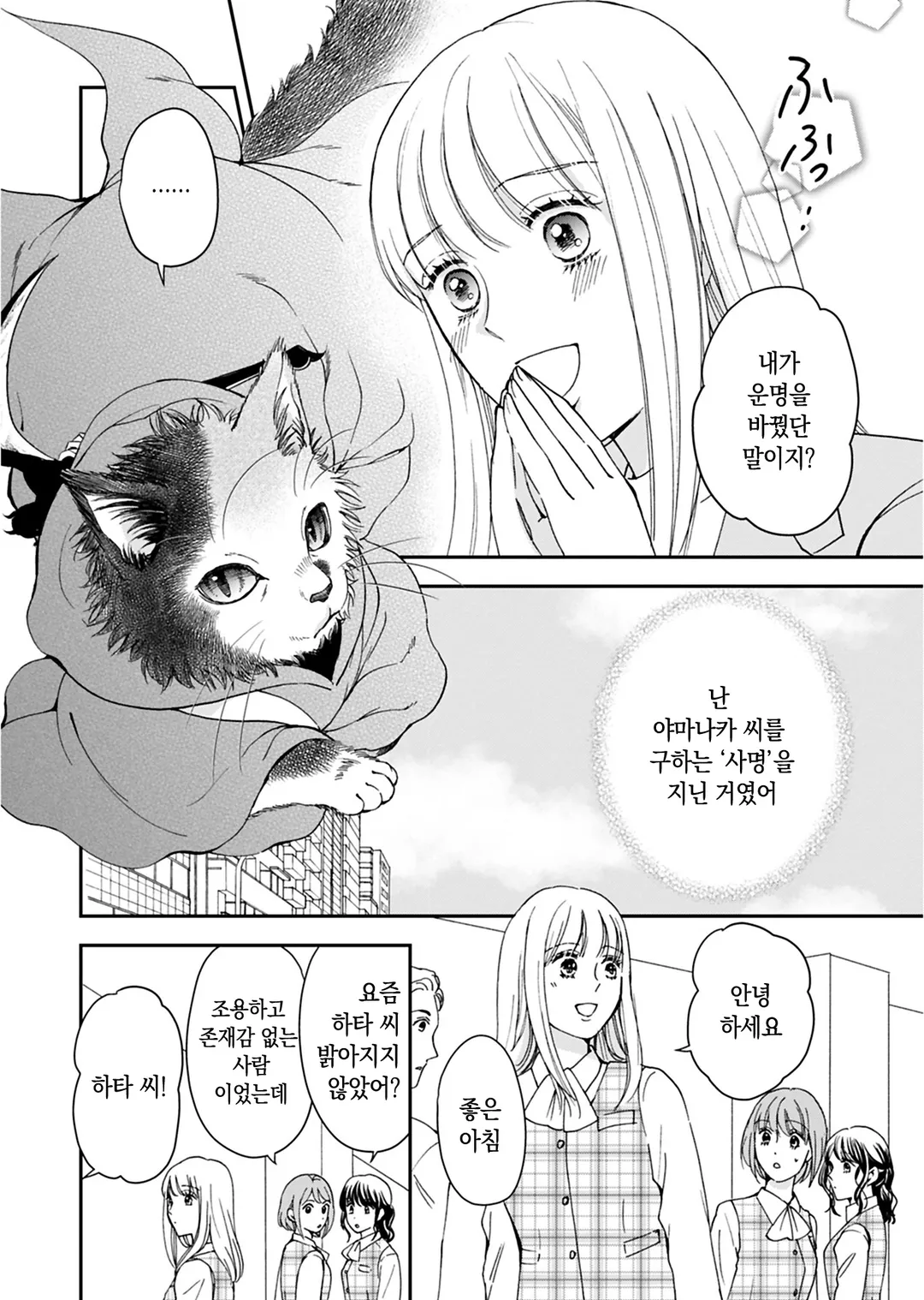 사신 고양이 지즈는 정이 깊다