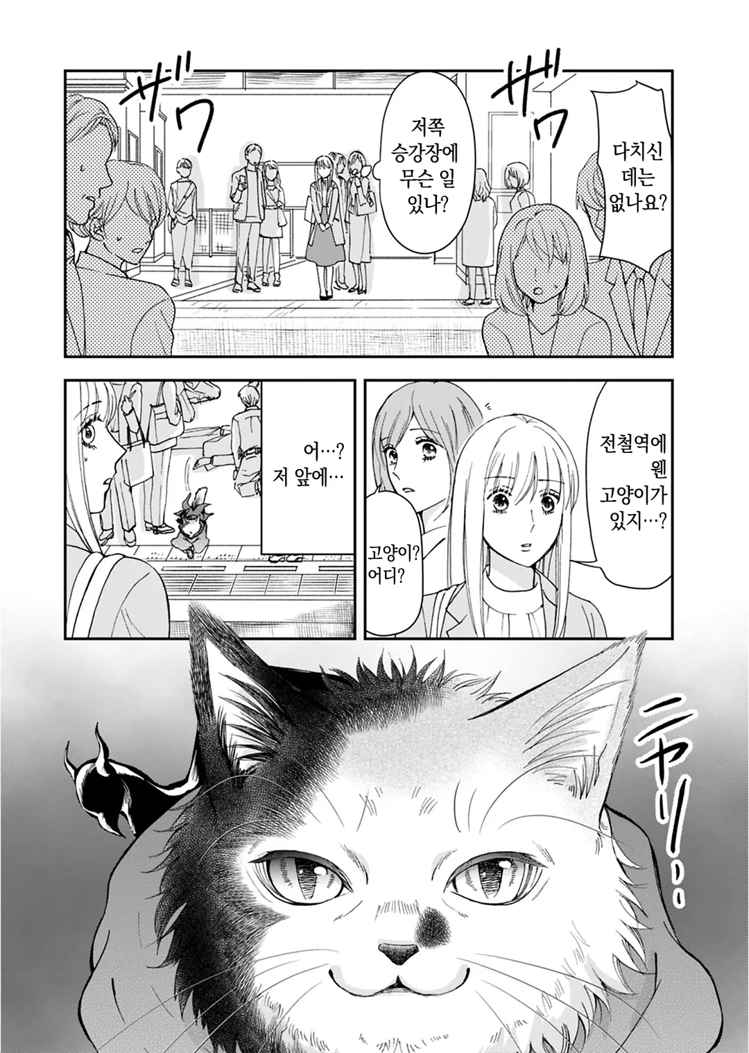 사신 고양이 지즈는 정이 깊다