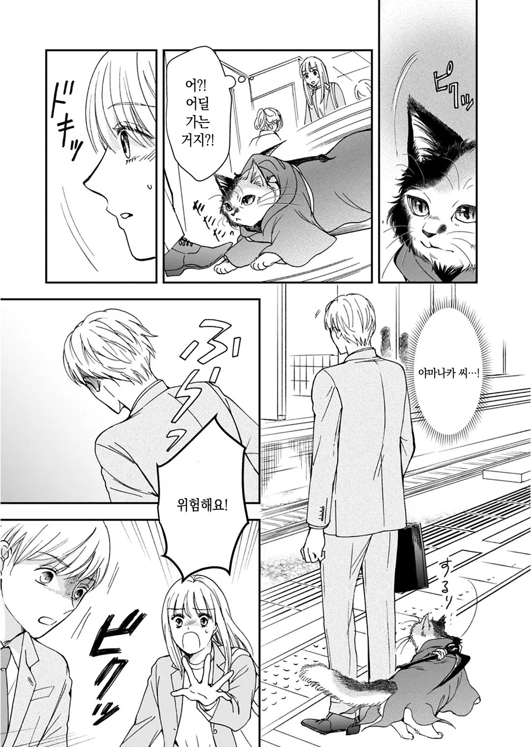 사신 고양이 지즈는 정이 깊다