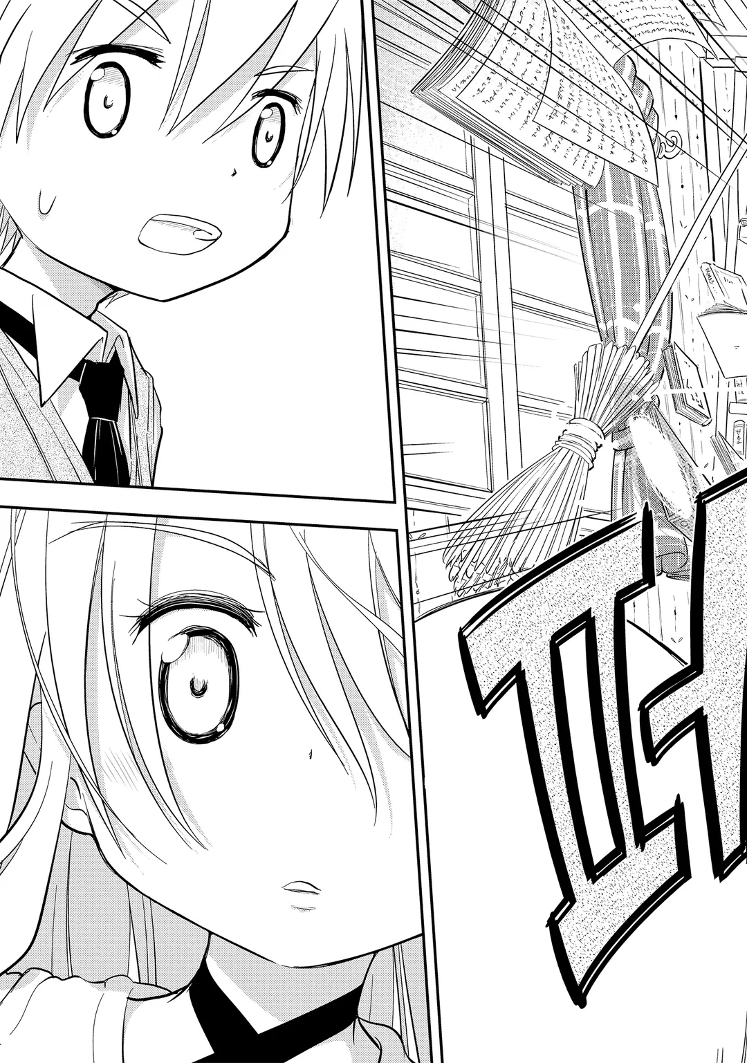 빗자루 세계의 알레아와 이알라