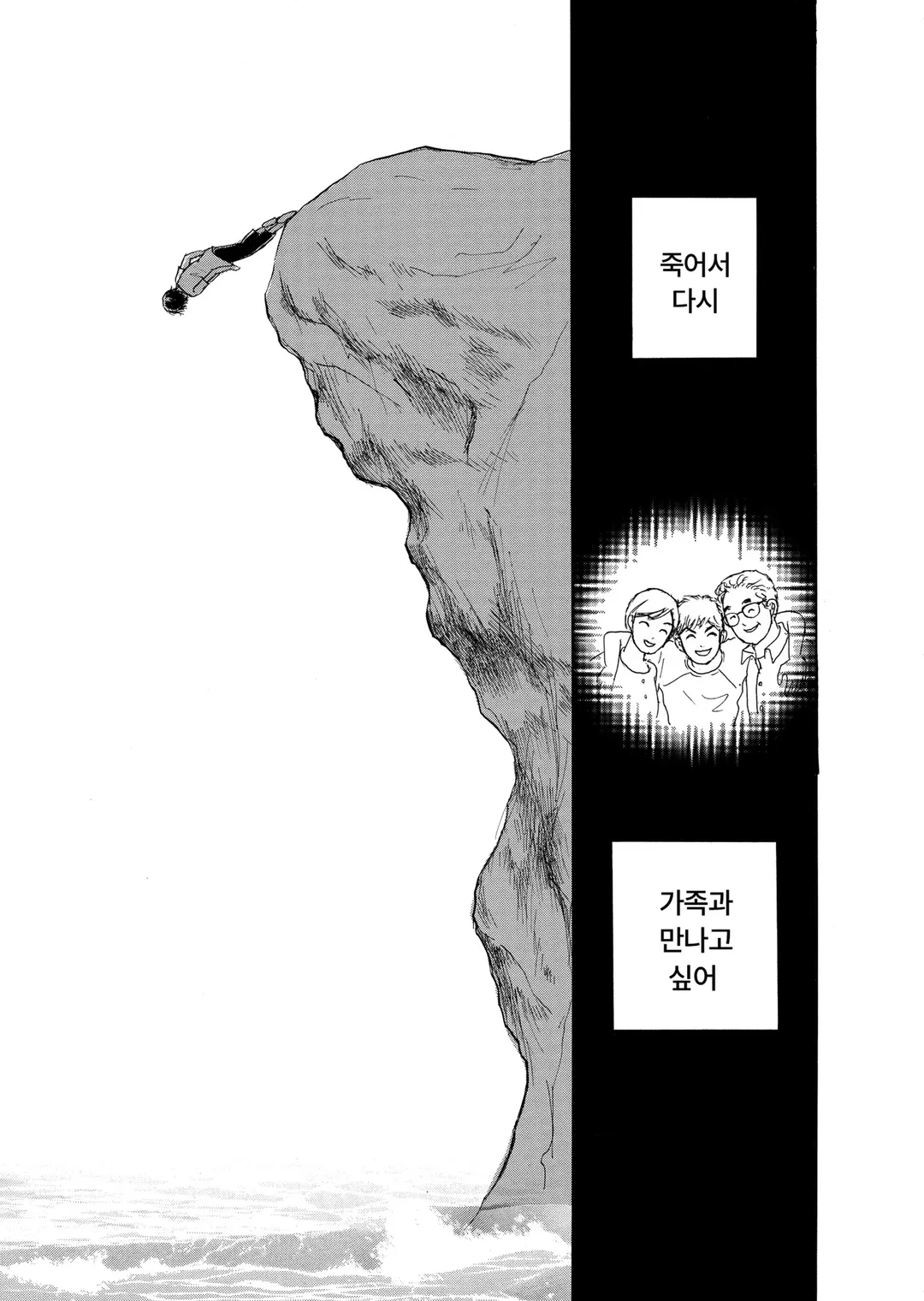 와일드 패밀리