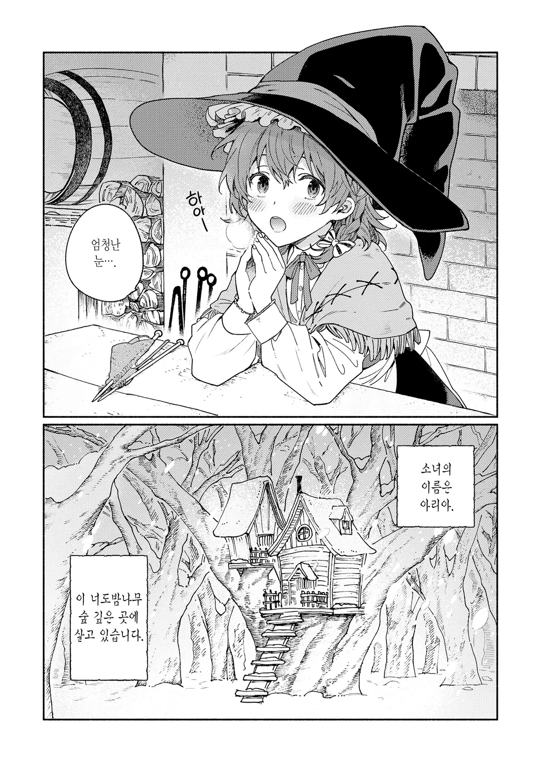 너도밤나무 숲의 아리아