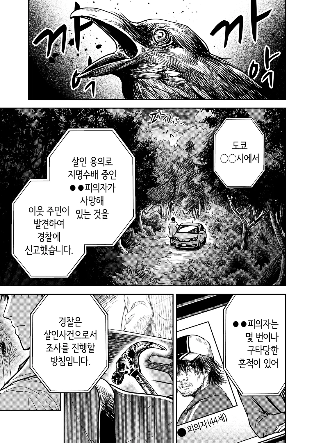 여왕벌 -둥지 안의 지배-