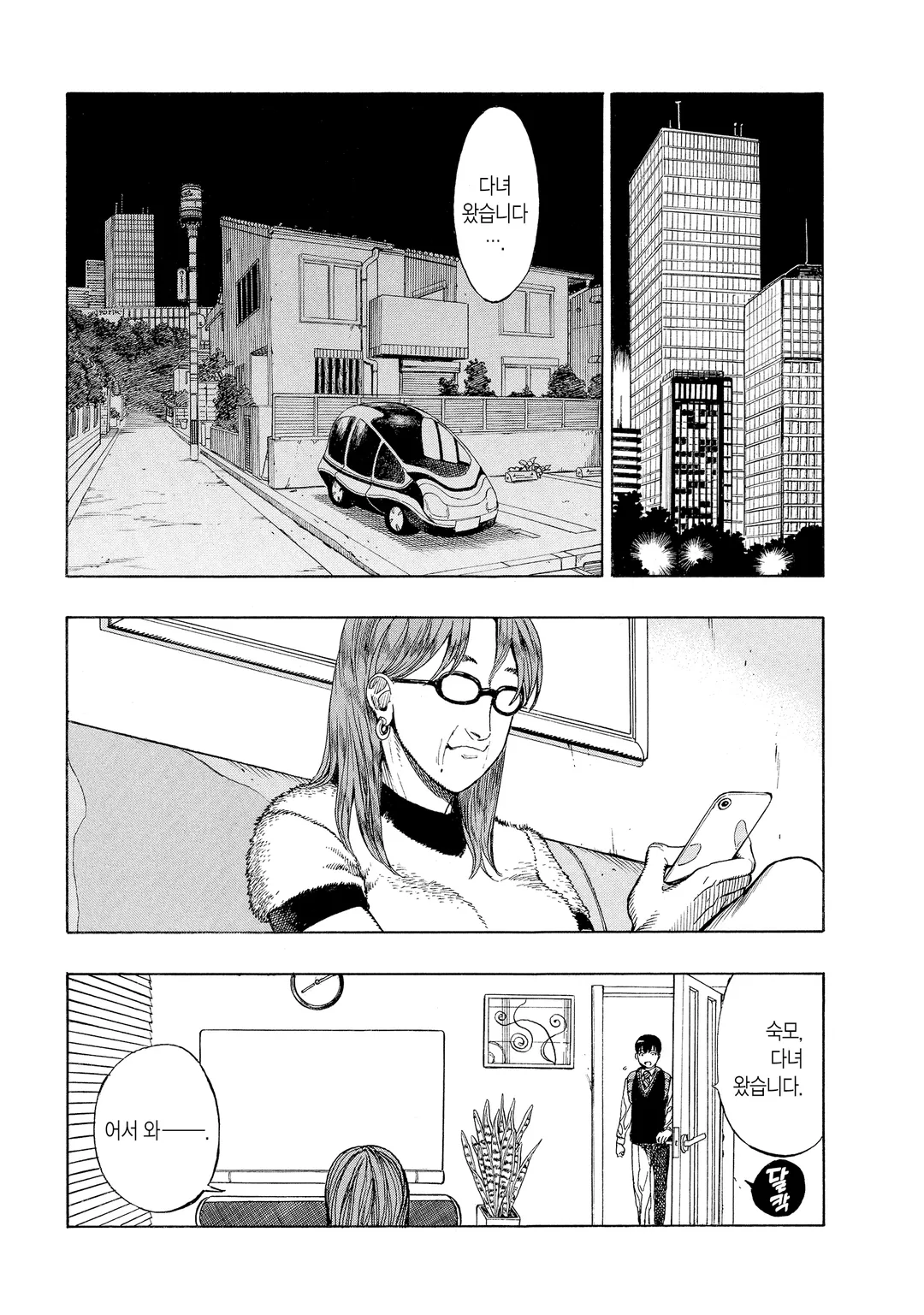 AUTOMATON(오토마톤)