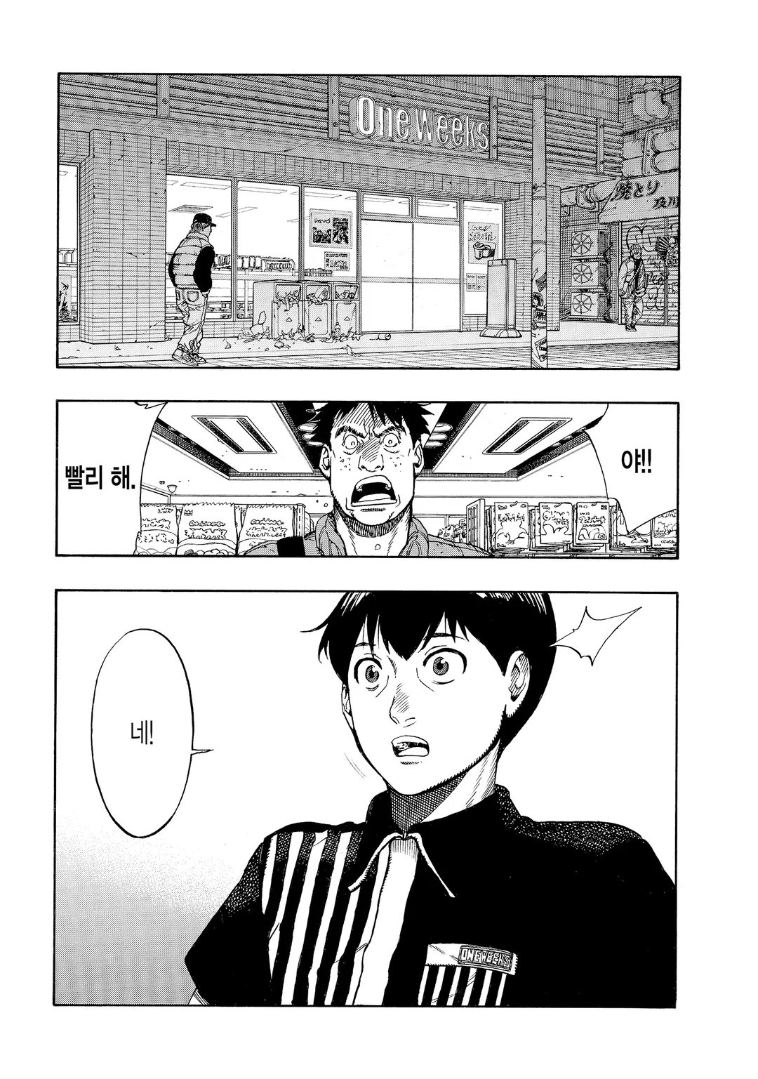 AUTOMATON(오토마톤)