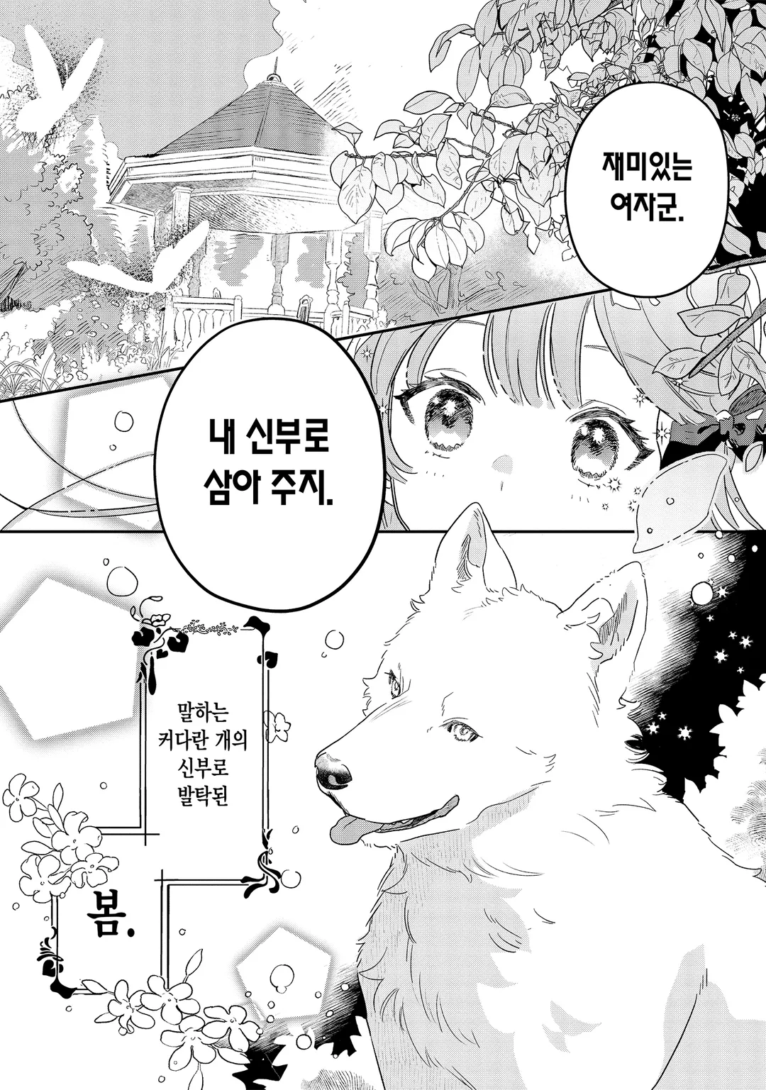 펜닐 기사단의 보기 드문 폭신폭신 사정