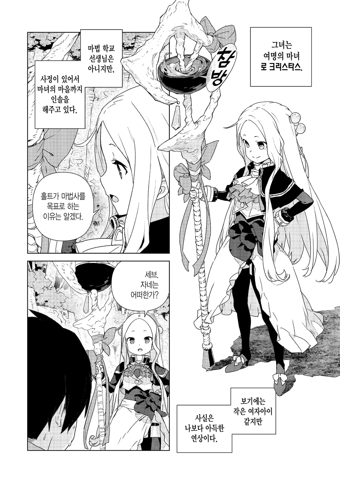 마법사의 여명기