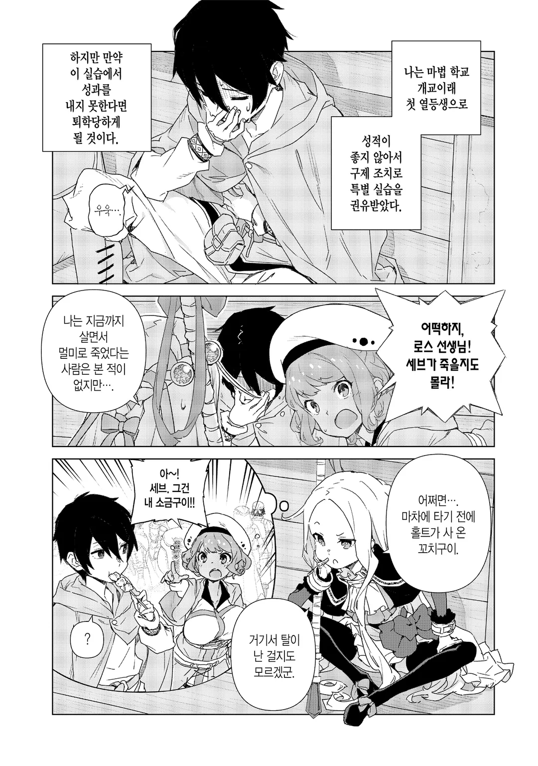 마법사의 여명기