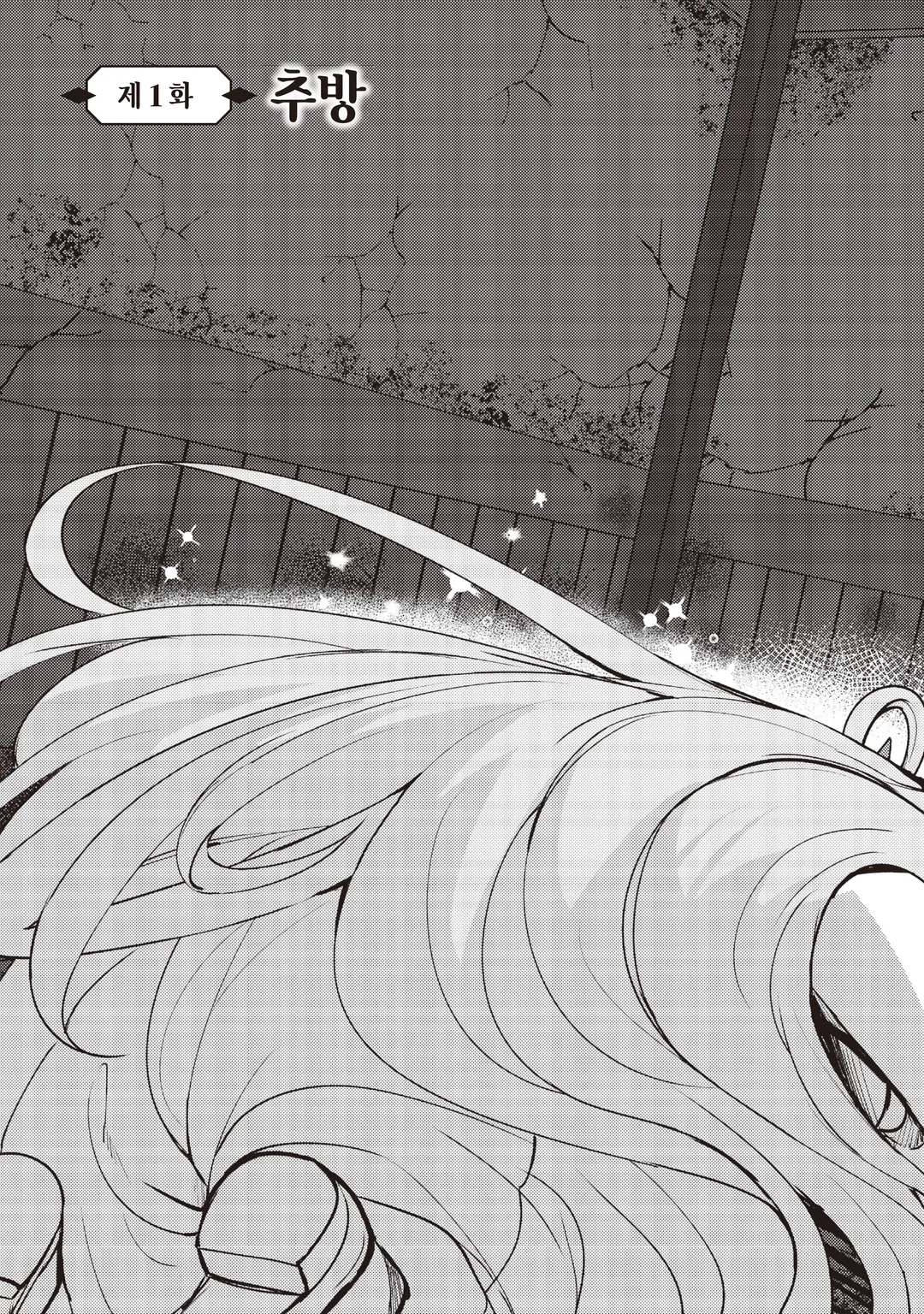 아무리 노력해도 만년 레벨 0인 나는 추방당했다 ~신의 적이라 불리던 소년은, 사축 여신과 만나 최강의 힘을 얻는다~