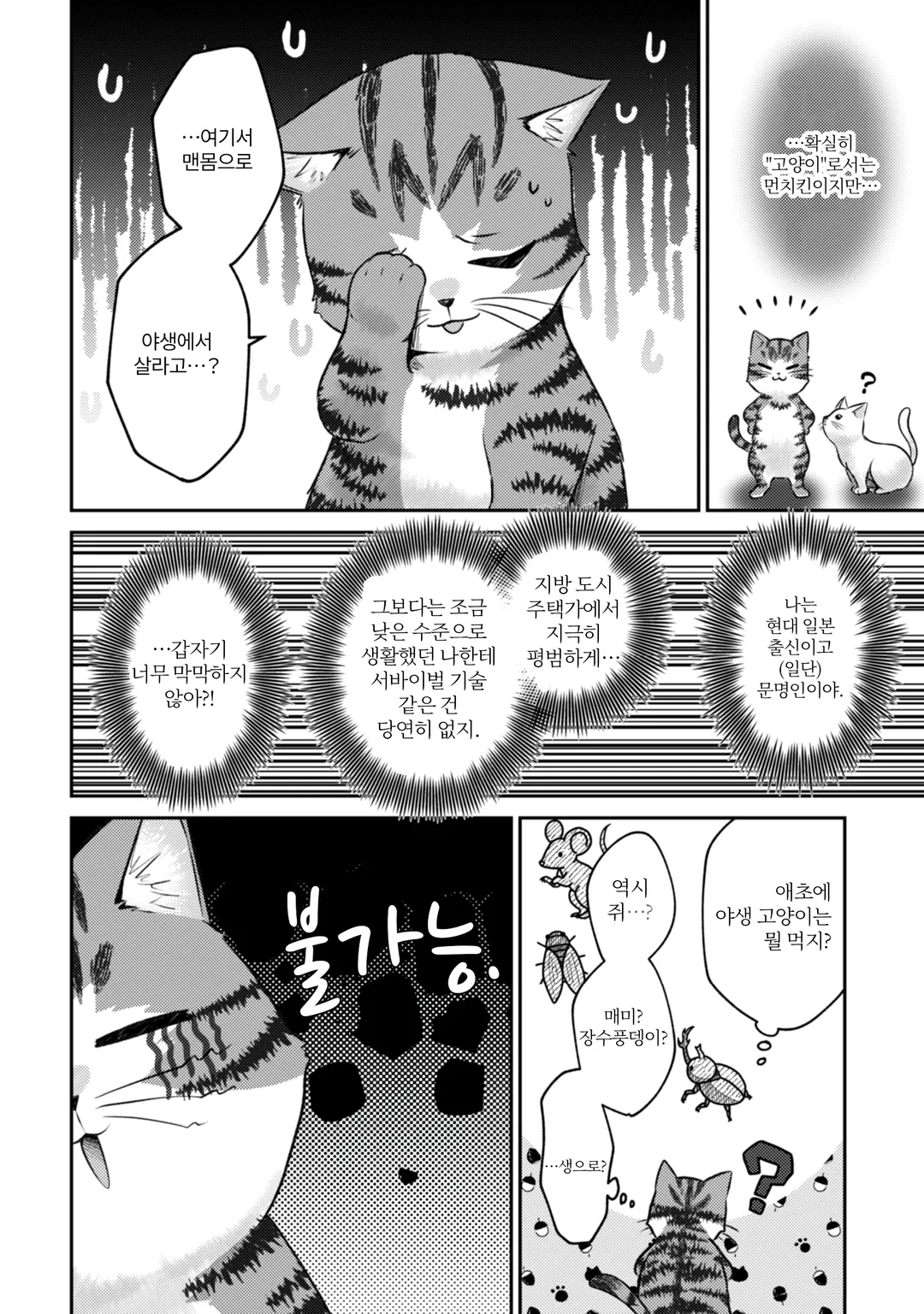 나는 고양이 마도사로소이다 ~키지토라 루크의 안락한 먼치킨 고양이 생활~