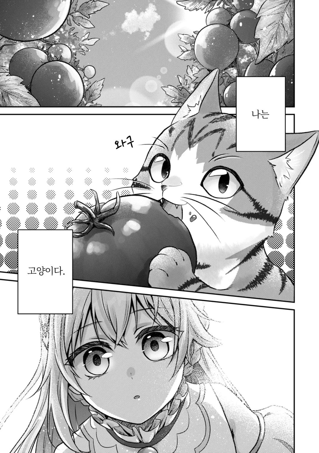 나는 고양이 마도사로소이다 ~키지토라 루크의 안락한 먼치킨 고양이 생활~