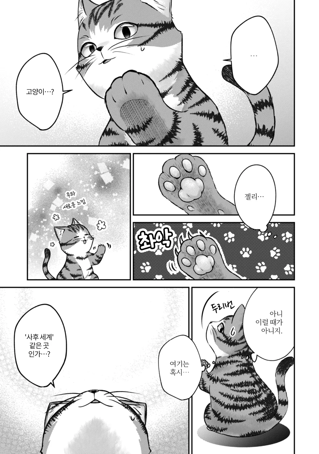 나는 고양이 마도사로소이다 ~키지토라 루크의 안락한 먼치킨 고양이 생활~