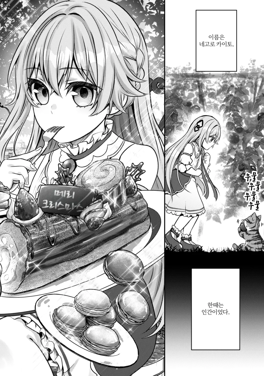 나는 고양이 마도사로소이다 ~키지토라 루크의 안락한 먼치킨 고양이 생활~