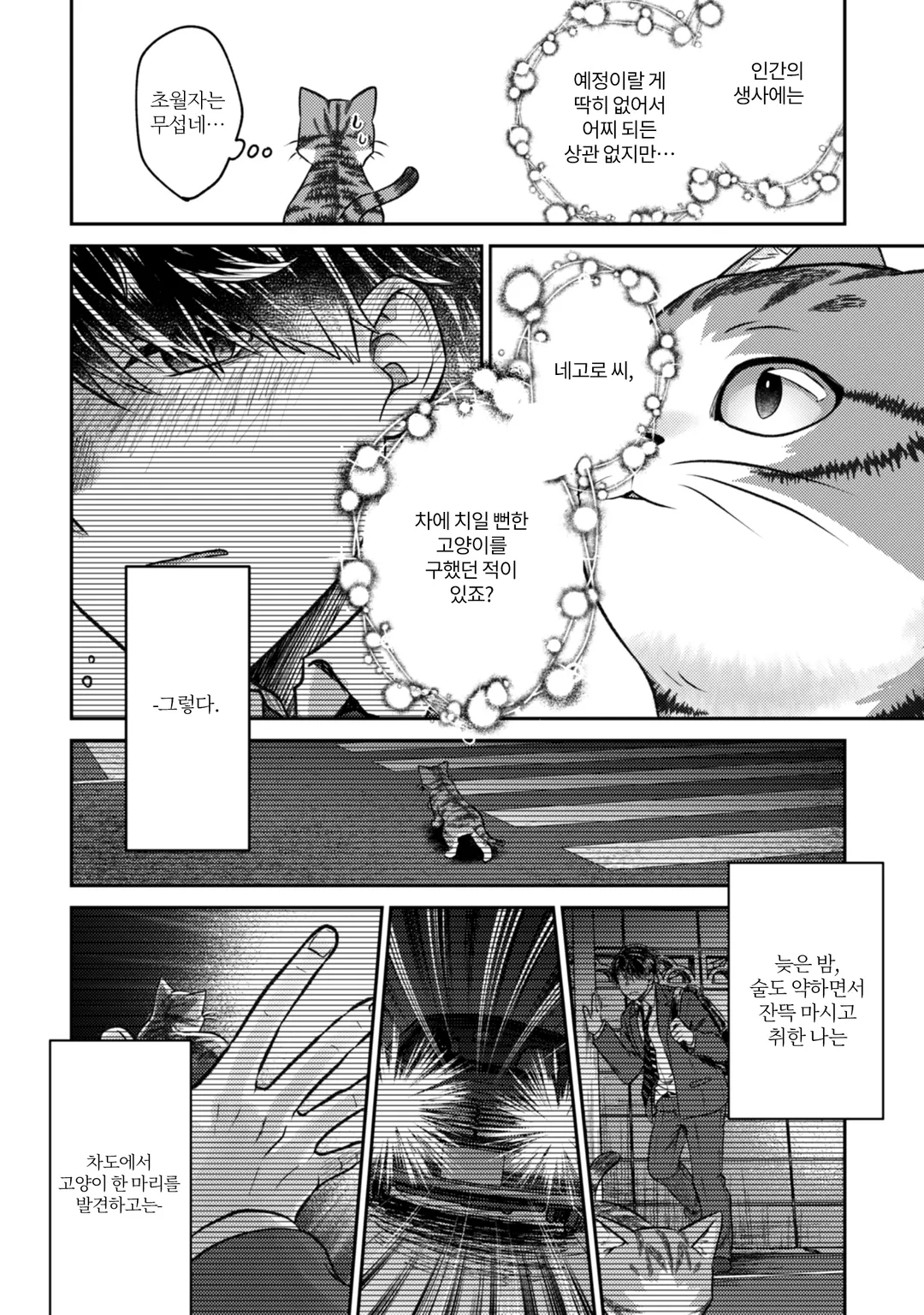 나는 고양이 마도사로소이다 ~키지토라 루크의 안락한 먼치킨 고양이 생활~