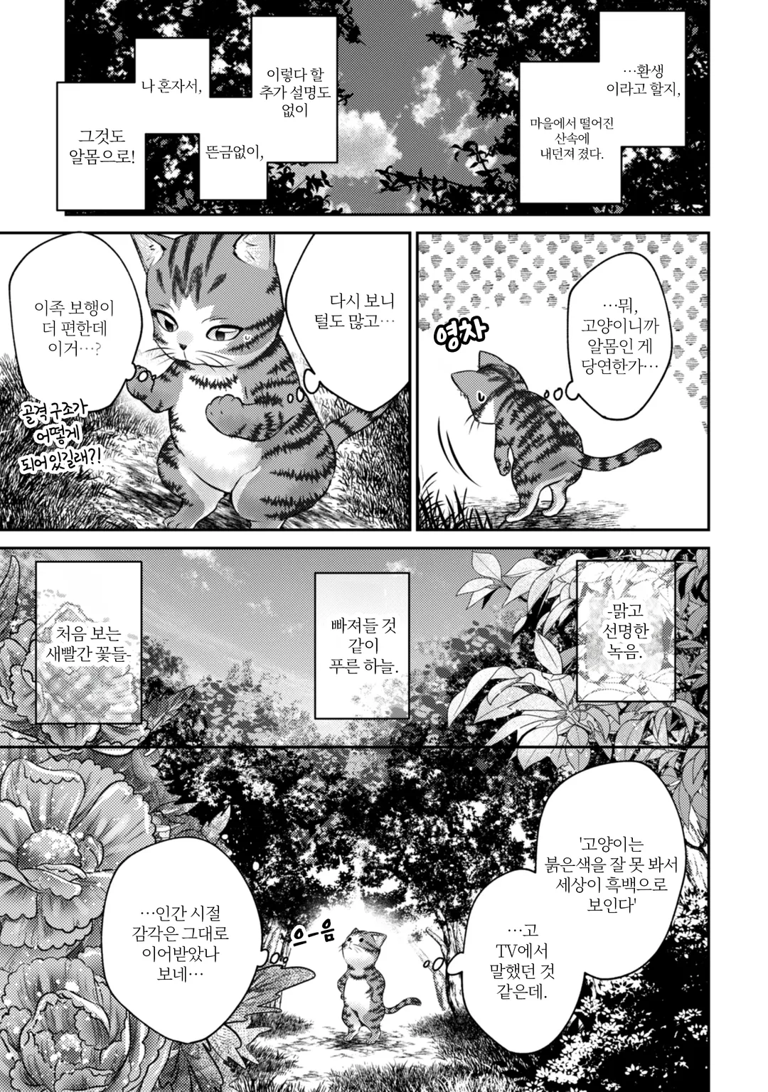 나는 고양이 마도사로소이다 ~키지토라 루크의 안락한 먼치킨 고양이 생활~