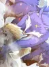 18화